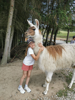 MicrosoftTeams-image (2)